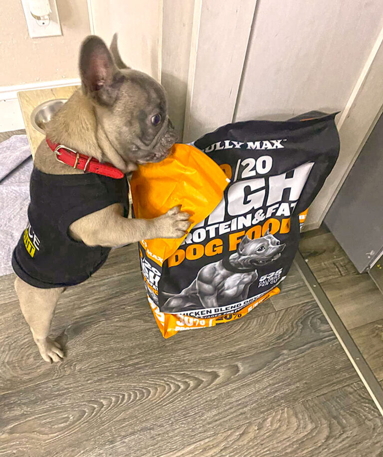 pro plan weight management dog food