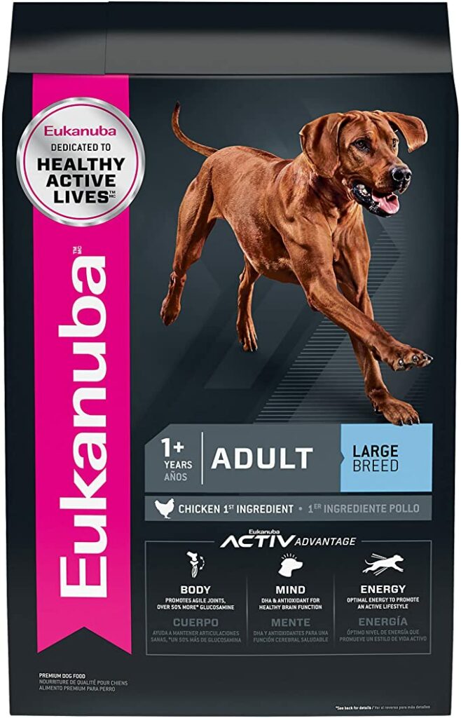 best budget dog food