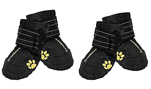 small dog boots