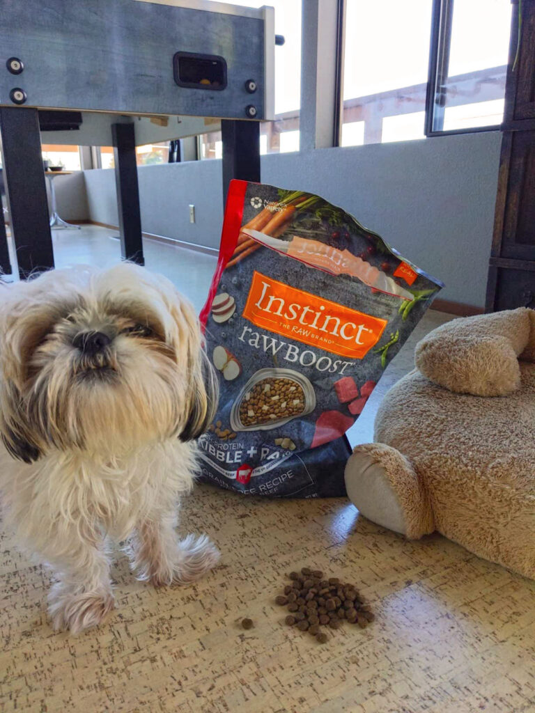 puppy food to gain weight