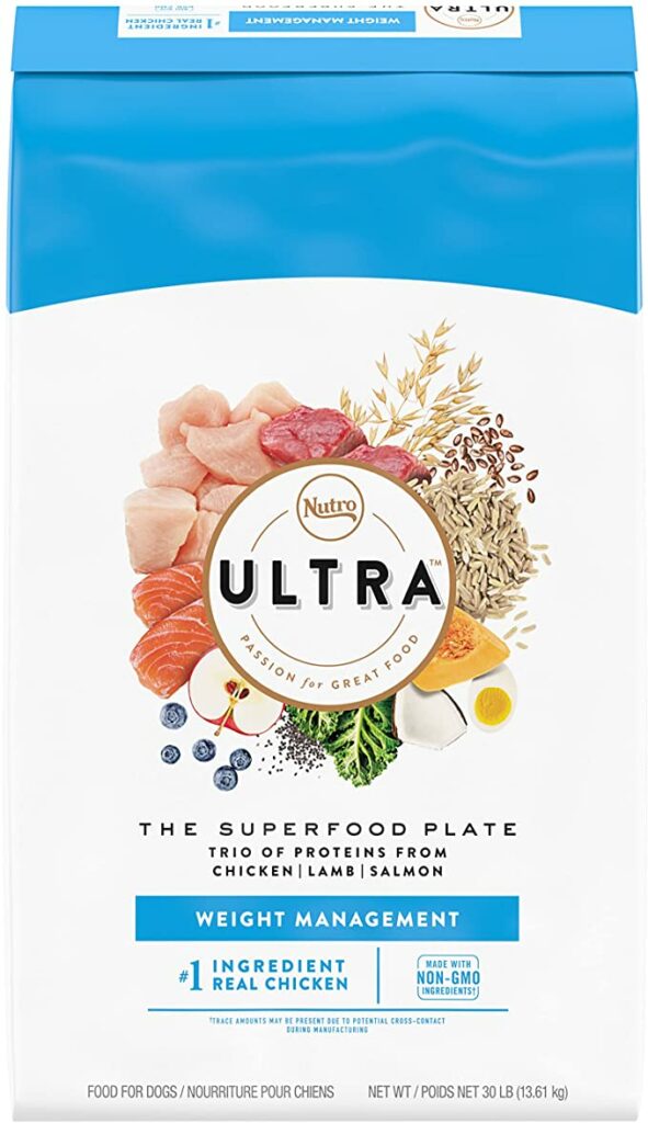 best diet dog food