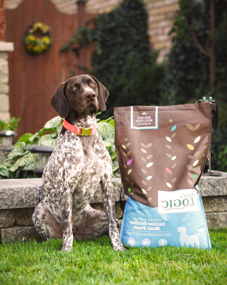what to feed dogs to gain weight