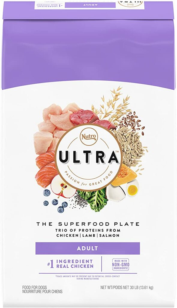 best affordable dog food