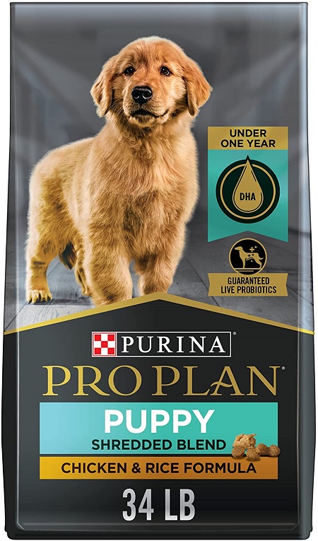best dry puppy food