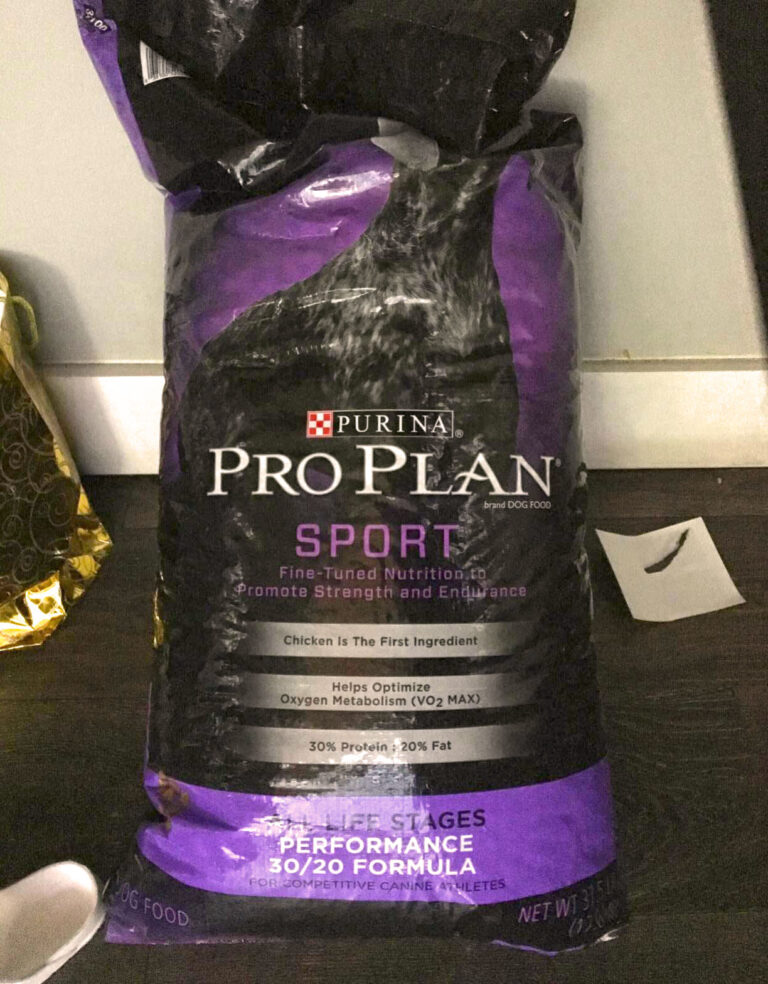 best dog food to build muscle