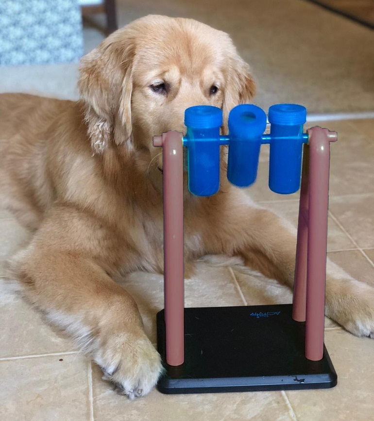 puzzles for dogs
