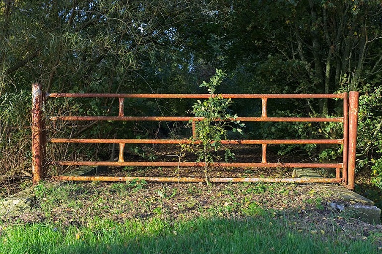 how to keep a dog from jumping a wooden fence