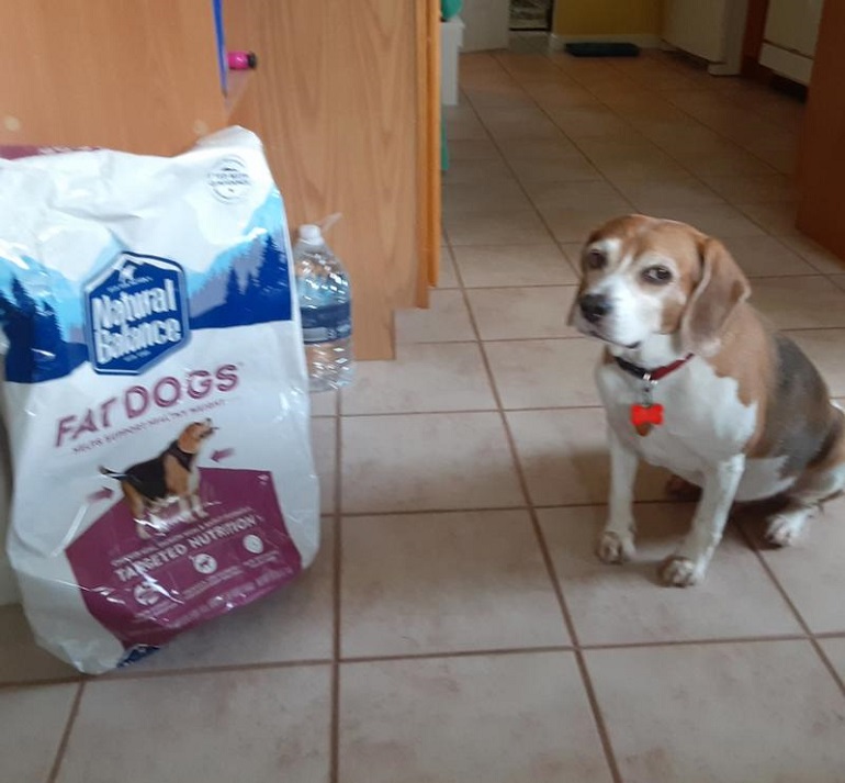 weight control dog food