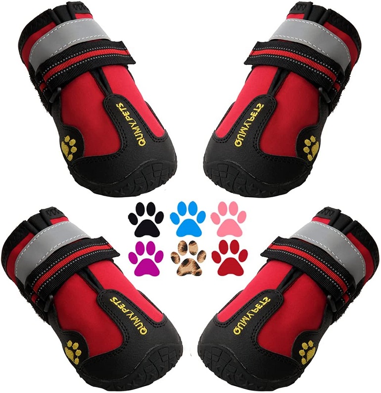 dog shoes for small dogs