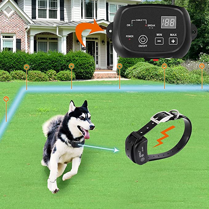 what is the best wireless fence for dogs