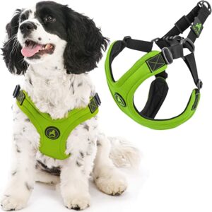 9 Best Escape Proof Dog Harnesses in 2023 Review & Top Picks