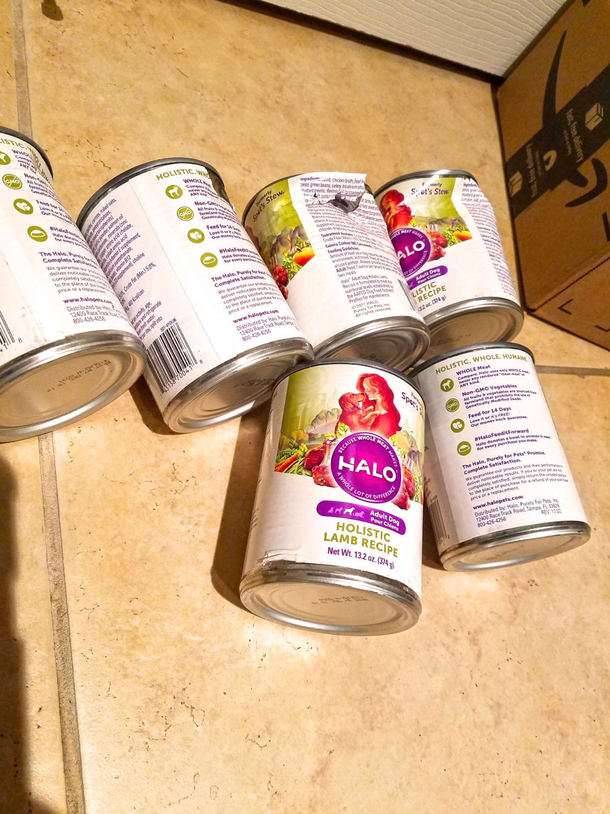 10 Best Wet Dog Foods for Senior Dogs to Keep Them Healthy