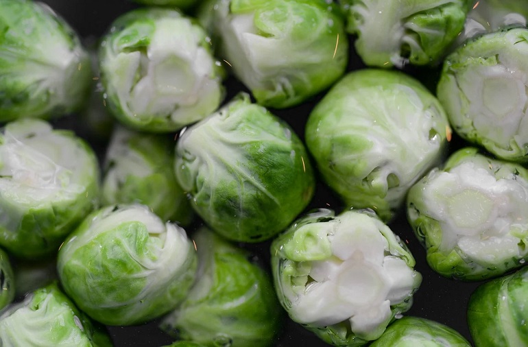 Are raw brussel hotsell sprouts good for dogs