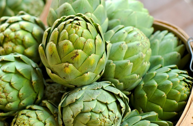 can dogs have artichokes