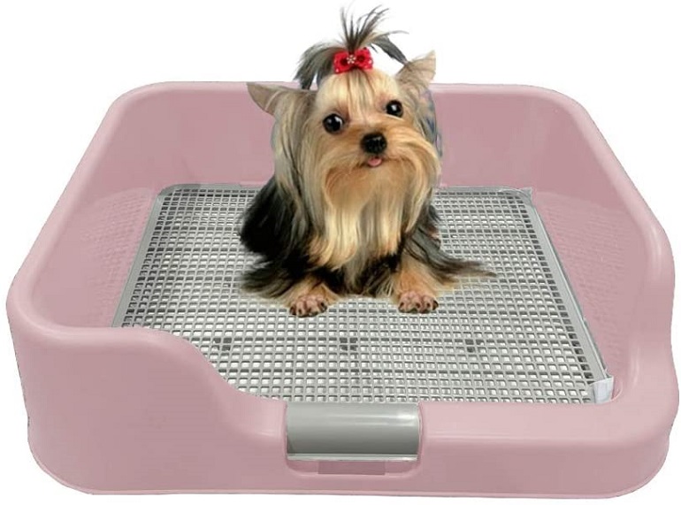 puppy potty box
