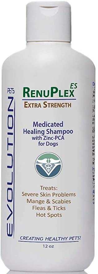 mange shampoo for dogs