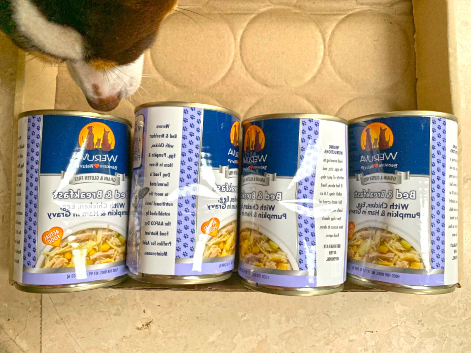 10 Best Wet Dog Foods for Senior Dogs to Keep Them Healthy