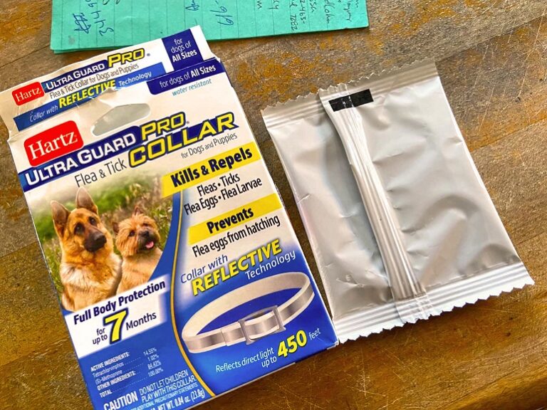 Best Flea Collar For Dogs In 2022 | Top Picked Flea Collar