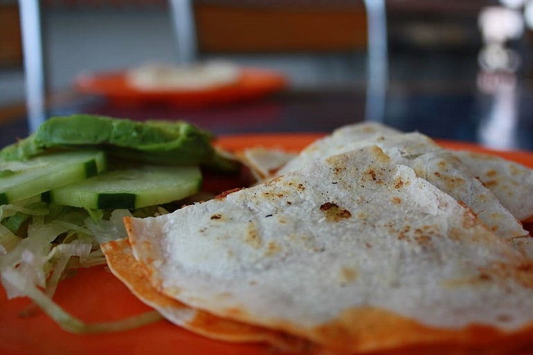 Dogs Eat Baked Tortillas