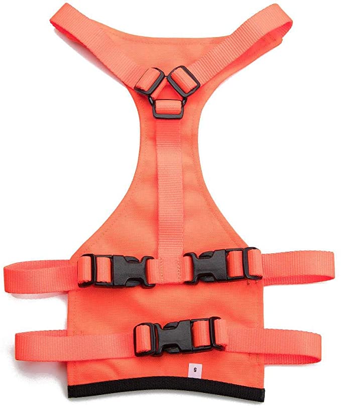 thumbnail interactive-video image 1 of Browning Dog Hunting Vest - Safety Orange Protective Vest For Hunting Dogs 1 of 11