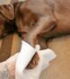 Dog Wipes