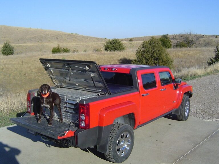 Visual Reference: 7 Best Dog Crates For Truck Beds