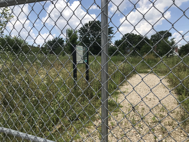 Chain Link Fence