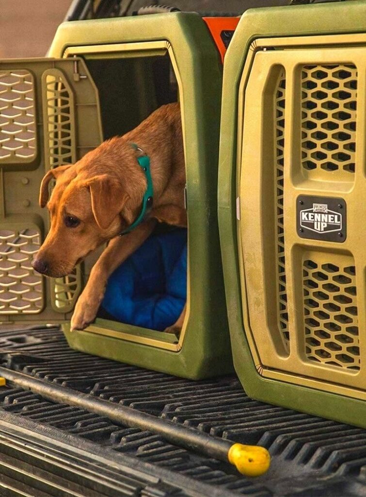 Best dog crates