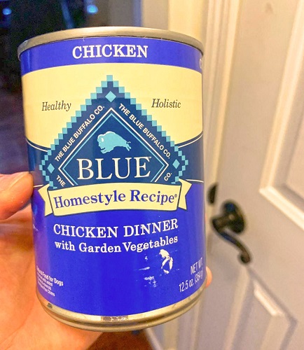 best food for mini goldendoodle puppy
