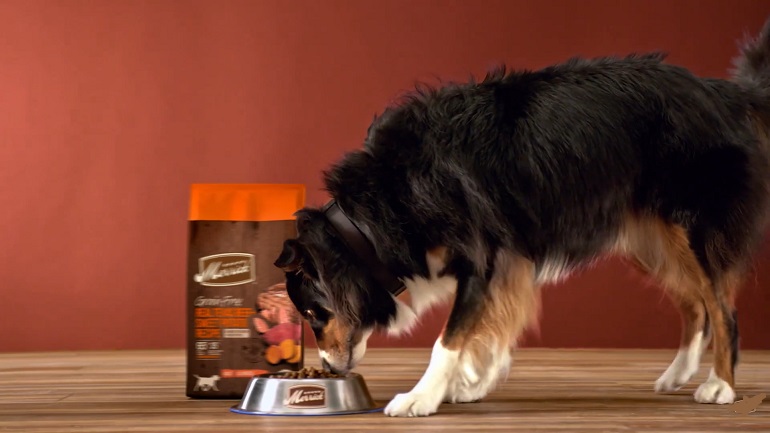 best grain for dogs