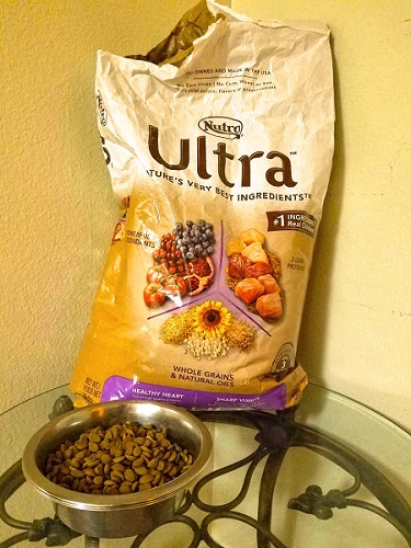 best food for mini goldendoodle puppy