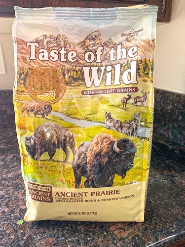 best food for goldendoodle puppies