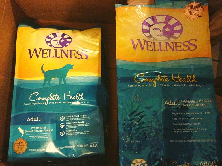 german shepherd puppy food