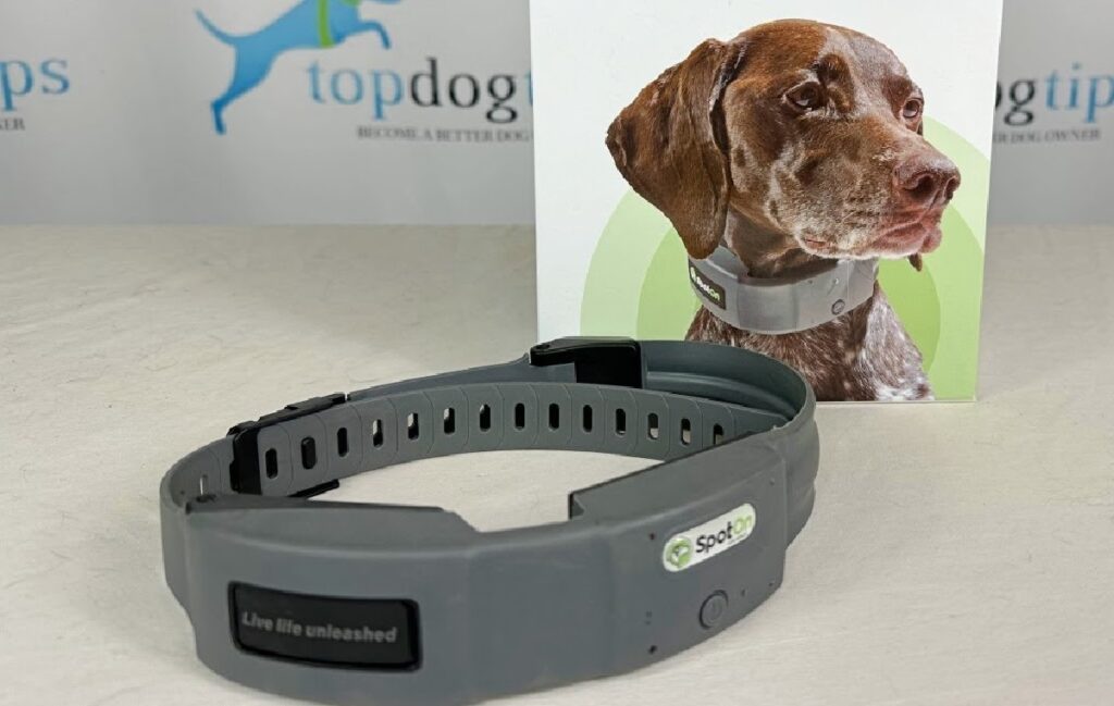 GPS Collars for dogs