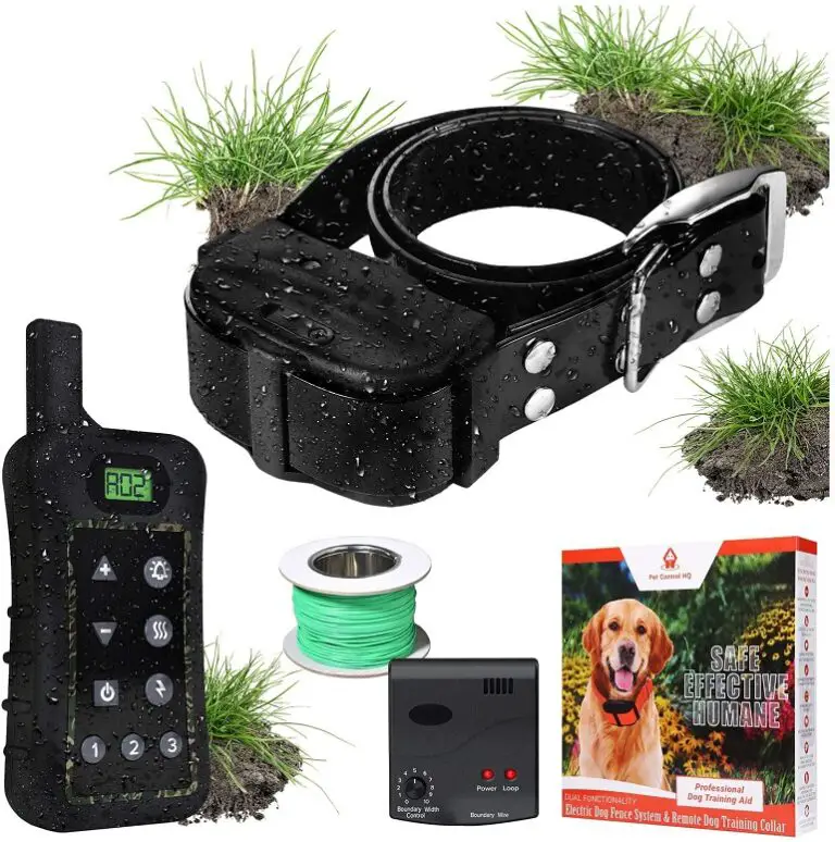 PetSafe-Basic-Bark-Collar-Review