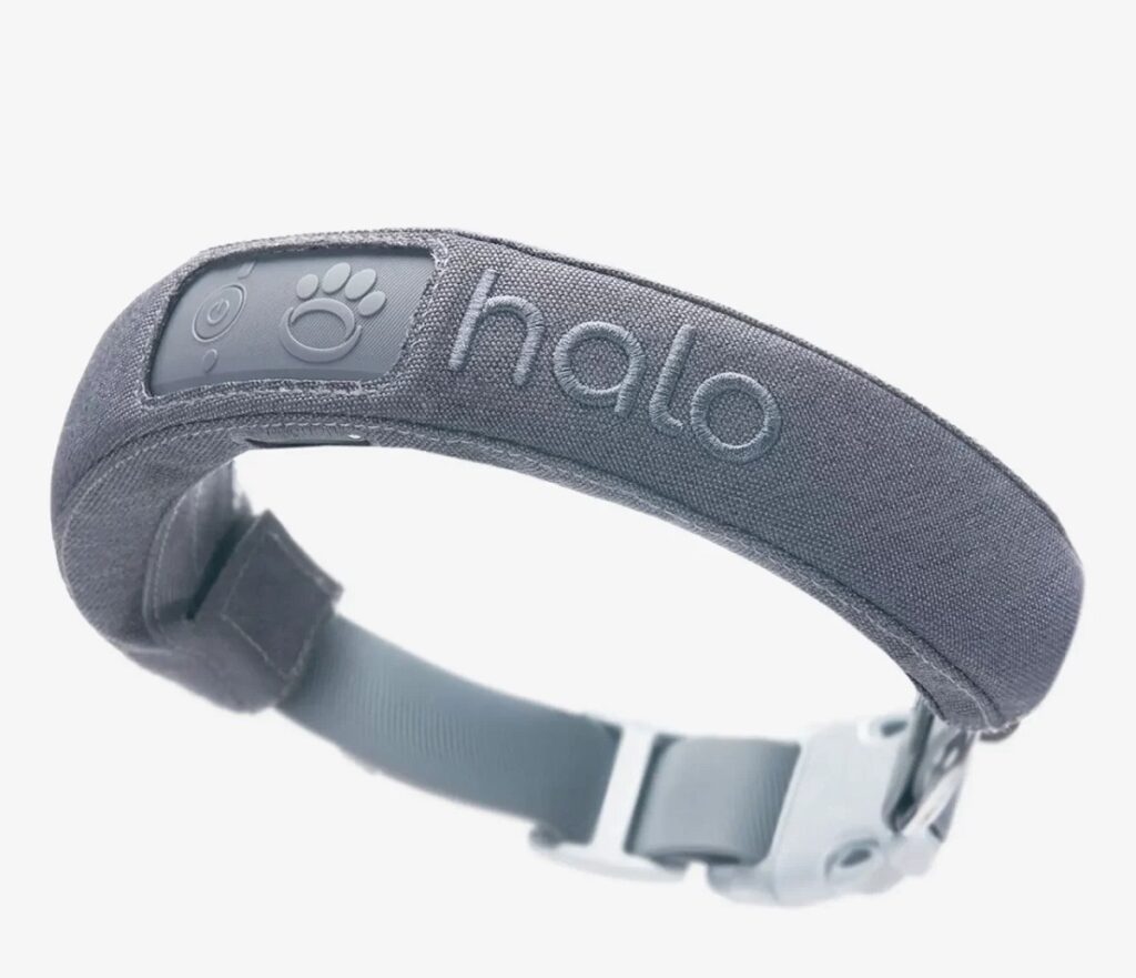 Halo Collar