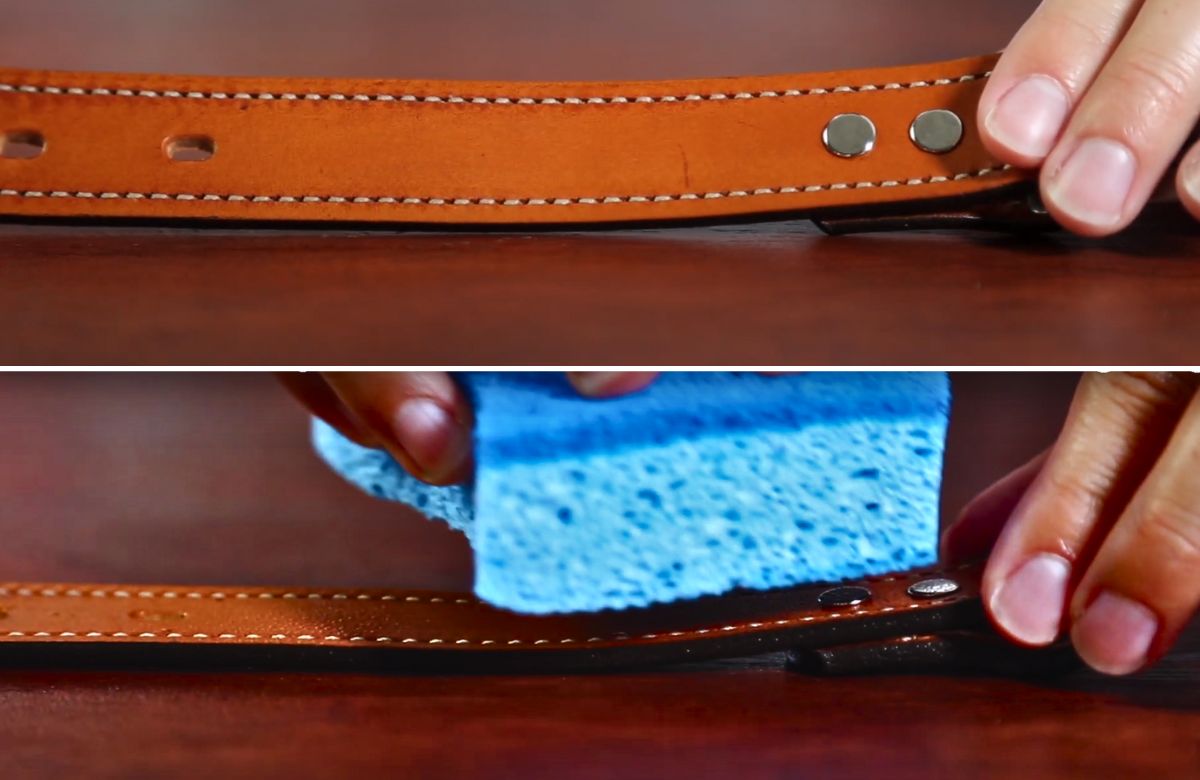 How to Clean Dog Collar Tips & Tricks to Make it Spotless!!