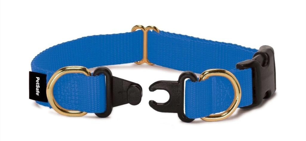 Petsafe Keep Safe Nylon Breakaway Dog Collar