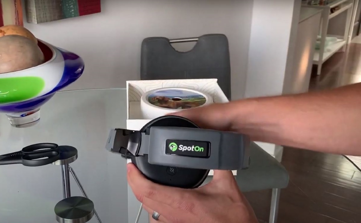 SpotOn Vs. Halo Dog Fence Which One Is Right for You???