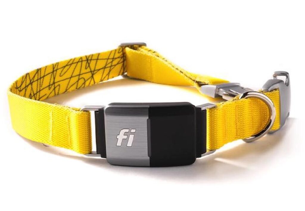 fi smart dog collar