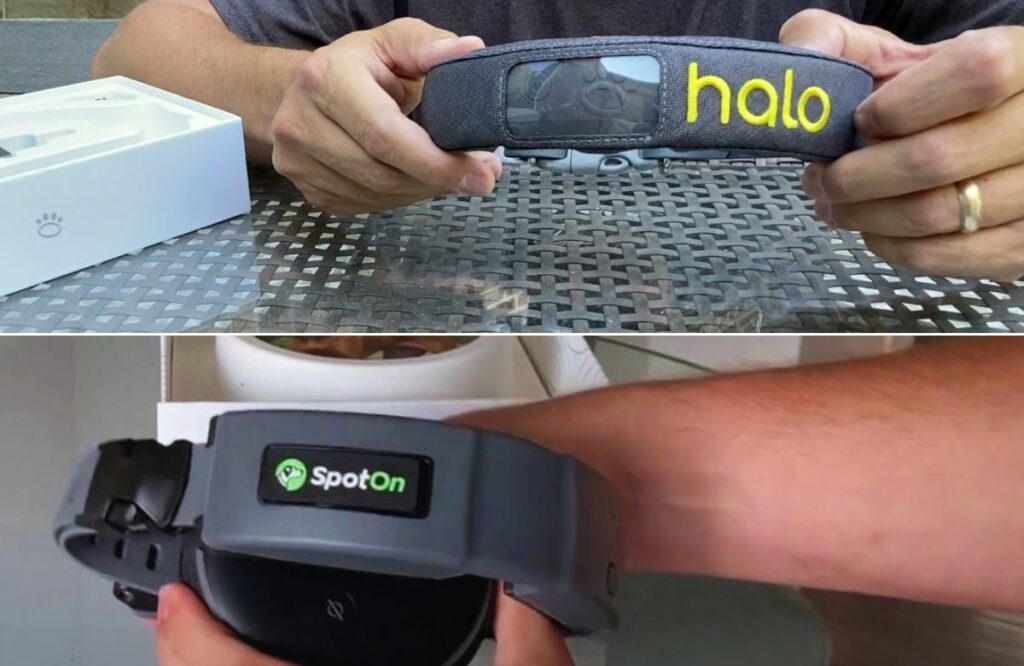 halo collar vs spot on collar